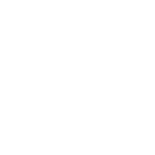 C++